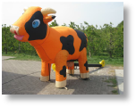 Ranja Koe Opblaasbaar Oranje-Zwart